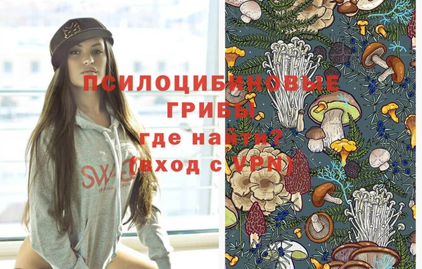 гидра Абинск