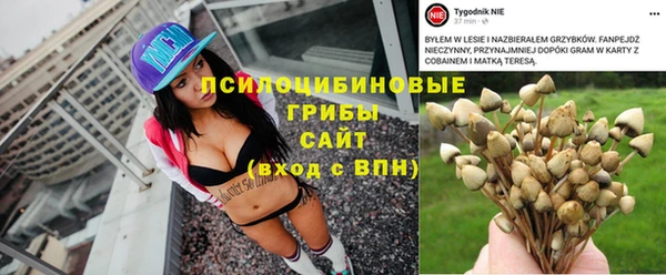 соль ск Алексин