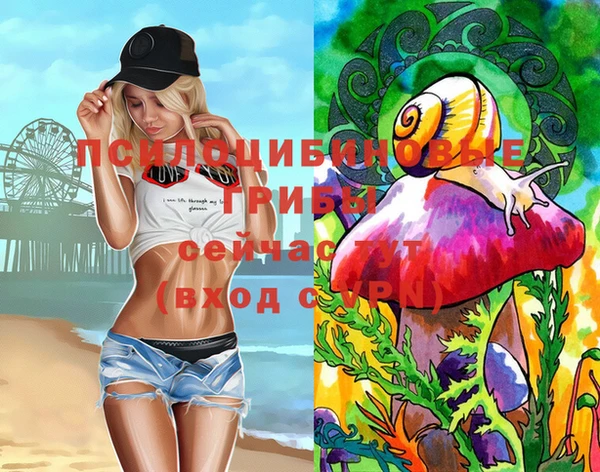 МДПВ Абдулино
