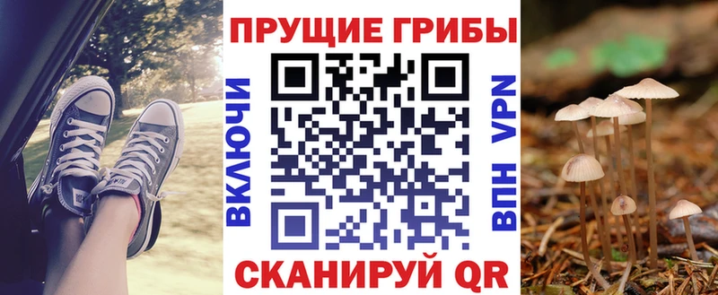 Галлюциногенные грибы Psilocybine cubensis kraken вход Мещовск