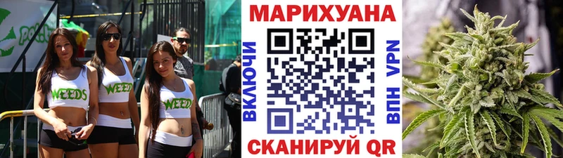 Конопля гибрид  Мещовск 
